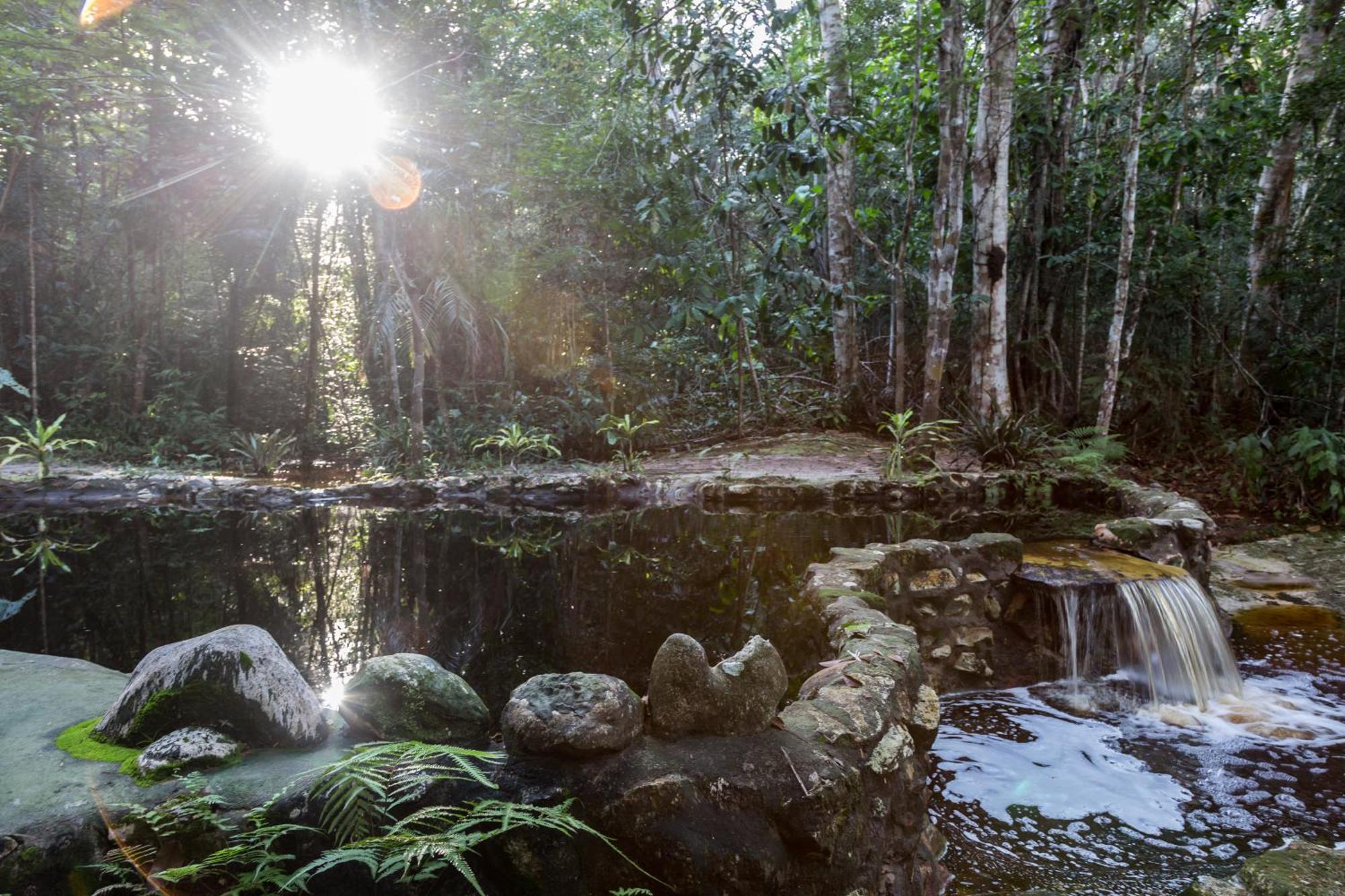 Amazon Ecopark Jungle Lodge Manaus Exteriér fotografie
