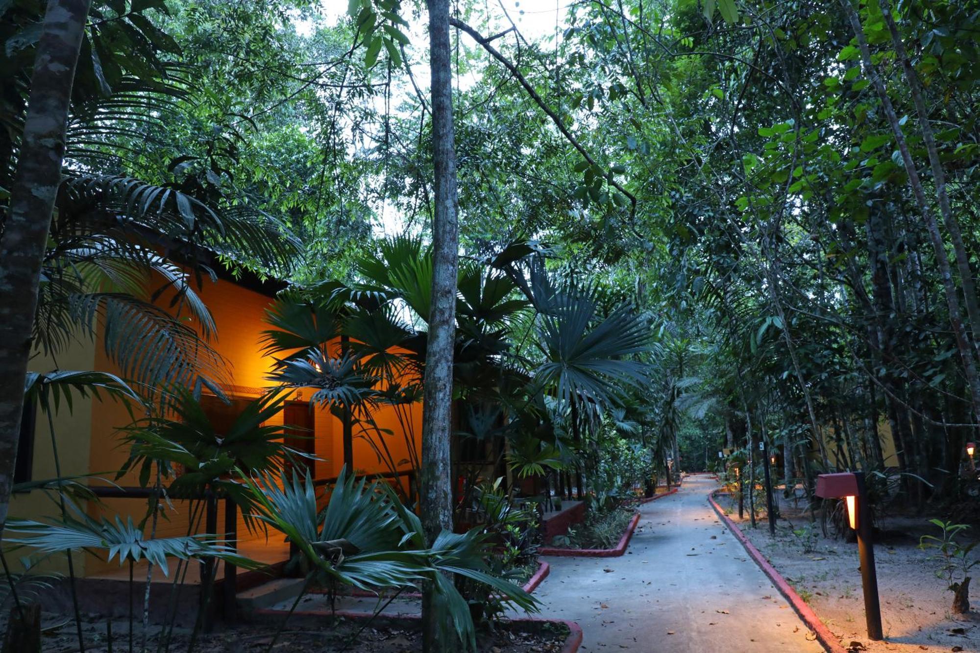 Amazon Ecopark Jungle Lodge Manaus Exteriér fotografie